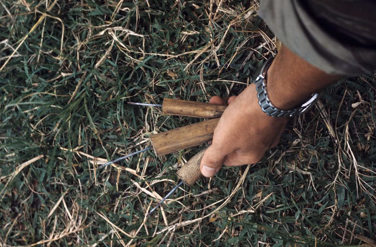 Những chiếc bẫy chông được lính Mỹ phát hiện. Ảnh: Jean-Claude Sauer.