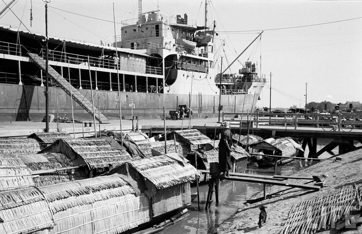 Thuyền bè của dân chài tự họp ngay bên những con tàu lớn ở cảng Sài Gòn. Phần lớn dân xóm vạn chài Sài Gòn sống bằng nghề chài lưới, số khác lên bờ để buôn bán hoặc làm những công việc lao động chân tay như thợ hồ, bốc vác, lượm ve chai... Ảnh: Carl Mydans/ Life.