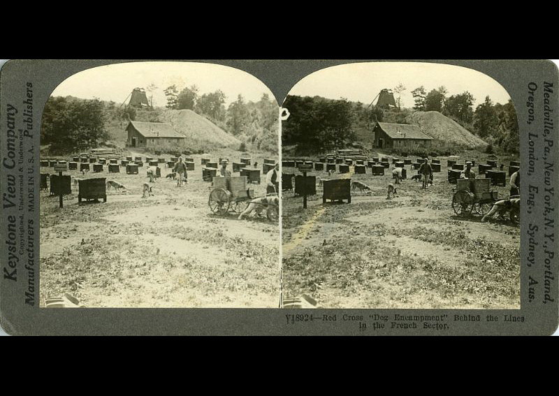 Một cơ sở của Hội Chữ Thập Đỏ trên đất Pháp thời Chiến tranh thế giới thứ nhất. Ảnh: Library of Virginia.