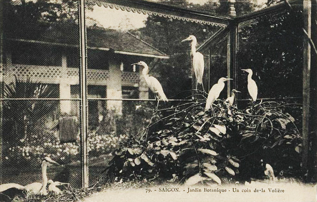 Chuồng nuôi cò trắng. Ảnh tư liệu.