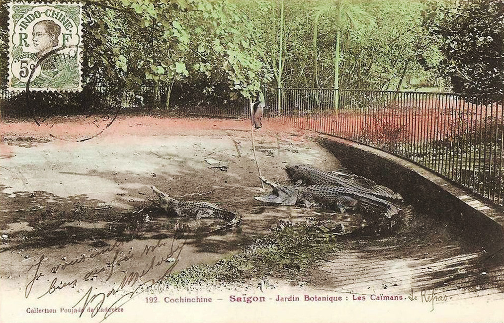 Khu chuồng nuôi cá sấu của Thảo Cầm Viên xưa. Ảnh tư liệu.