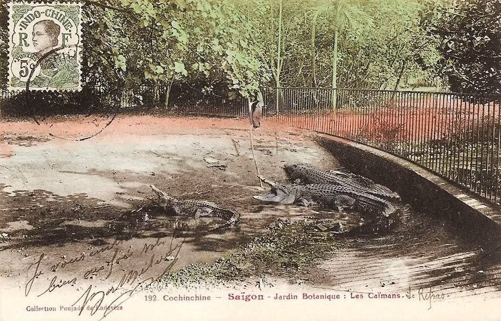 Khu chuồng nuôi cá sấu của Thảo Cầm Viên xưa. Ảnh tư liệu.