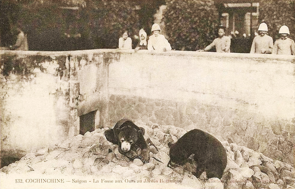 Ở khu chuồng nuôi gấu, du khách có thể nhìn những chú gấu từ trên cao. Ảnh tư liệu.