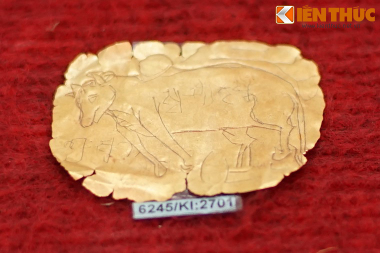 Hình tượng bò, con vật thiêng trong Hindu giáo được khắc trên một lá vàng.