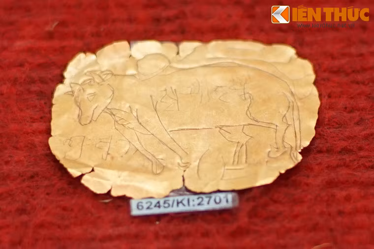 Hình tượng bò, con vật thiêng trong Hindu giáo được khắc trên một lá vàng.