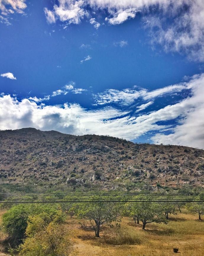 "Đầu tiên, chúng tôi đã thực hiện chuyến đi tàu ban ngày từ TP HCM đến Nha Trang, trên những chiếc ghế mềm thật sự thoải mái và toa tàu rất sạch đẹp. Cuộc hành trình này thực sự dễ chịu". Ảnh: Almost Landing.