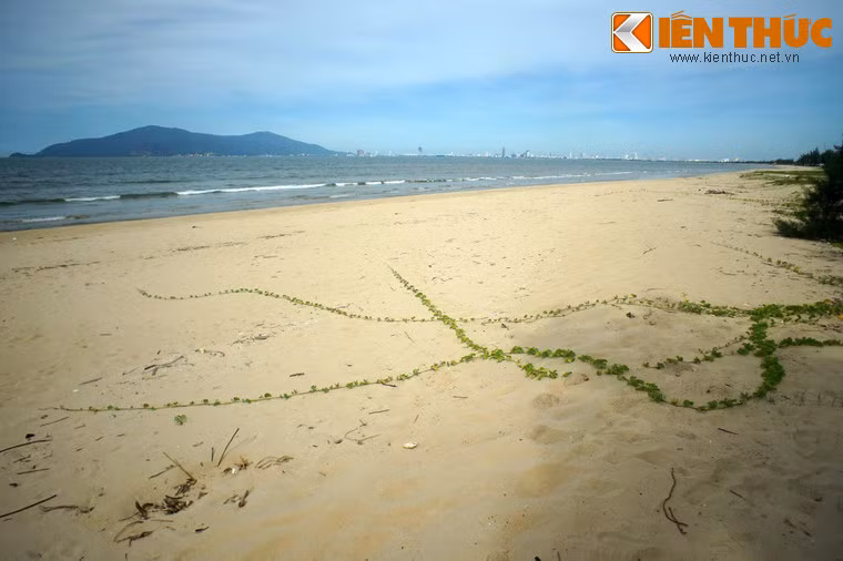 Đối với những du khách thích sự tĩnh lặng bên bờ biển vắng, biển Xuân Thiều là nơi lý tưởng để thư thái dạo bước chân trần trên cát, tận hưởng hương biển mát lành giữa khung trời khoáng đạt...