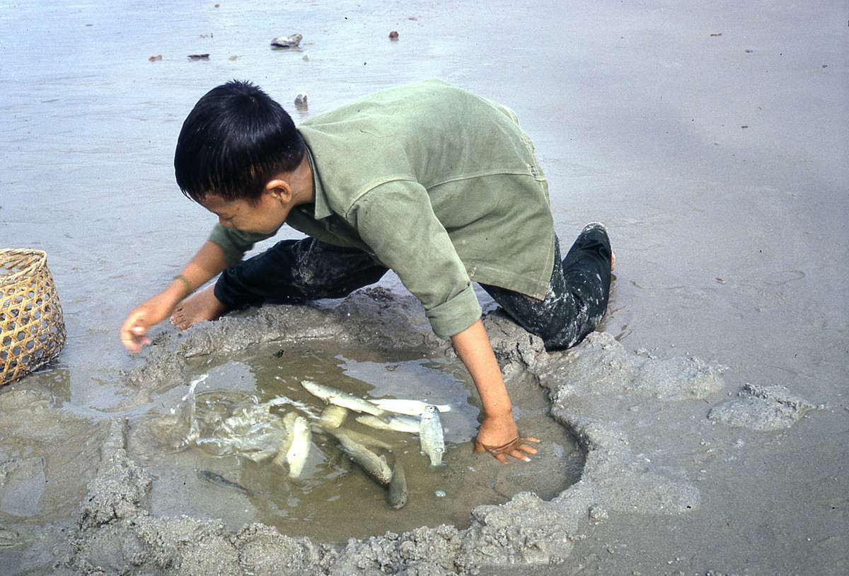 "Hồ cá" nhỏ của cậu bé. Ảnh: Donald MacKinnon.