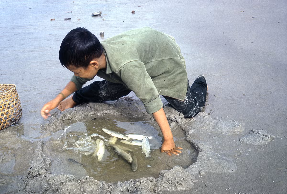 "Hồ cá" nhỏ của cậu bé. Ảnh: Donald MacKinnon.