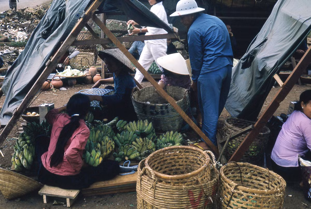 Quầy bán chuối ở chợ Pleiku. Ảnh: Donald MacKinnon.