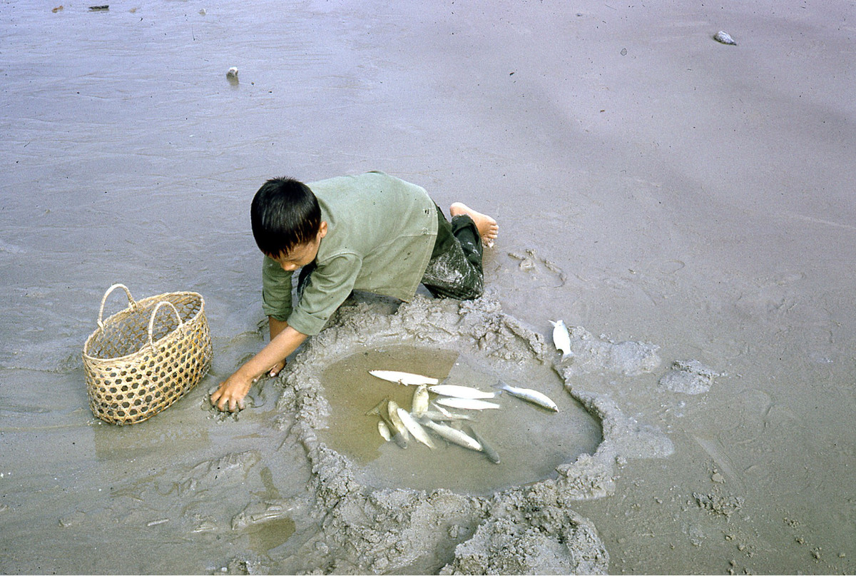 Cậu bé nghịch cá sau khi giúp bố kéo lưới. Ảnh: Donald MacKinnon.