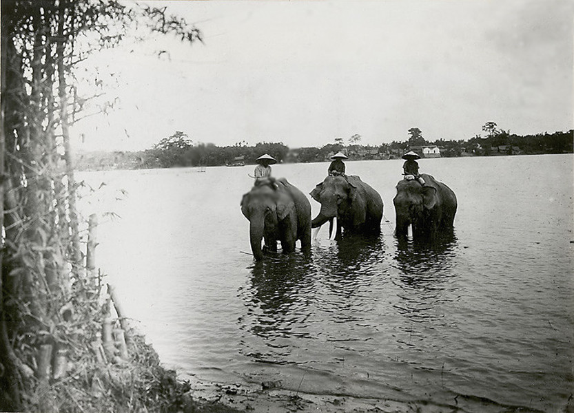 Binh lính cho voi tắm trên sông Hương, khoảng năm 1919 - 1926. Ảnh tư liệu.
