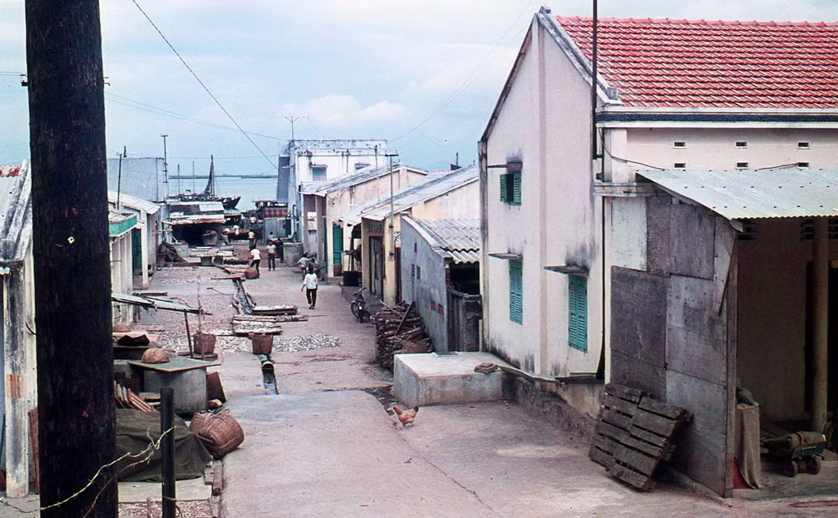 Khu dân cư gần chợ cá. Ảnh: Mike Vogt.