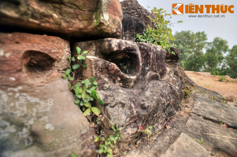 Việc nghiên cứu cột đá chùa Dạm dưới góc độ mỹ thuật sẽ cho ta hiểu được sâu sắc nghệ thuật Phật giáo thời Lý trong tiến trình lịch sử mỹ thuật Phật giáo Việt Nam.