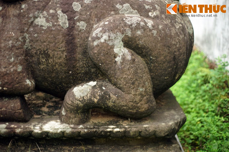 Vào năm 2017, bộ tượng 10 linh thú của chùa Phật Tích, trong đó có hai tượng tê giác tuổi đời gần 1.000 năm đã được công nhận là Bảo vật quốc gia của Việt Nam.