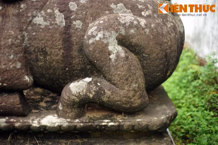 Vào năm 2017, bộ tượng 10 linh thú của chùa Phật Tích, trong đó có hai tượng tê giác tuổi đời gần 1.000 năm đã được công nhận là Bảo vật quốc gia của Việt Nam.