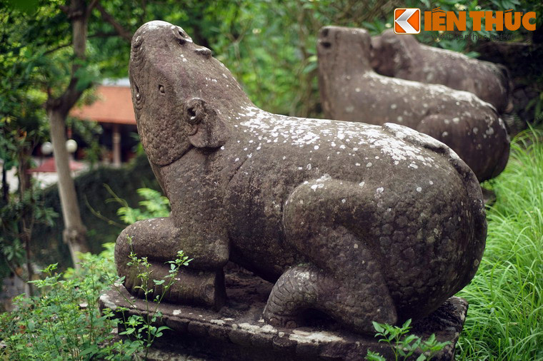 Cặp tượng tê giác được tạo tác bằng đá sa thạch nguyên khối, cao khoảng 1,2m, được tạo hình trong tư thế phủ phục. Mình của tê giác được chạm hình vẩy hình tròn, đều tăm tắp như vẩy cá. Tình trạng hai bức tượng còn khá nguyên vẹn.