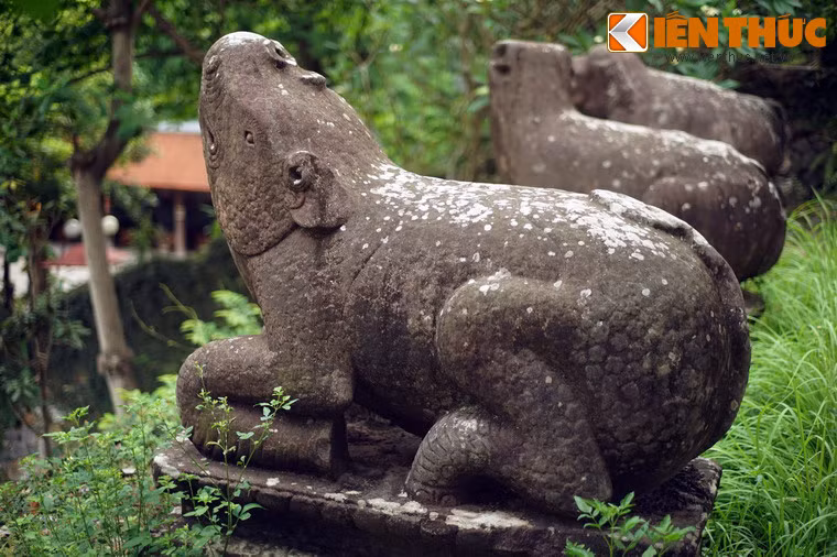 Cặp tượng tê giác được tạo tác bằng đá sa thạch nguyên khối, cao khoảng 1,2m, được tạo hình trong tư thế phủ phục. Mình của tê giác được chạm hình vẩy hình tròn, đều tăm tắp như vẩy cá. Tình trạng hai bức tượng còn khá nguyên vẹn.