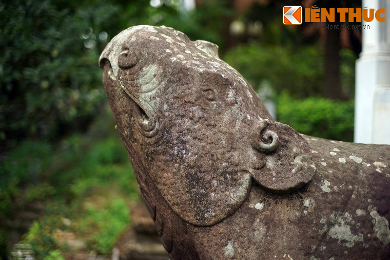 Theo các nhà nghiên cứu, các linh thú ở chùa Phật tích đều có trong điển tích nhà Phật, mang ý nghĩa bảo vệ và quy y Phật pháp. Trong đó, tê giác là biểu tượng cho những người tu hành kiên trì cho đến ngày giải thoát.