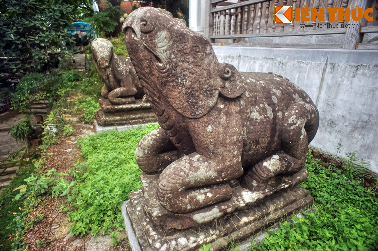 Voi và tê giác có đầu hướng về phía trước, trong khi đầu trâu và ngựa nghiêng sang một bên.