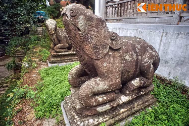 Voi và tê giác có đầu hướng về phía trước, trong khi đầu trâu và ngựa nghiêng sang một bên.