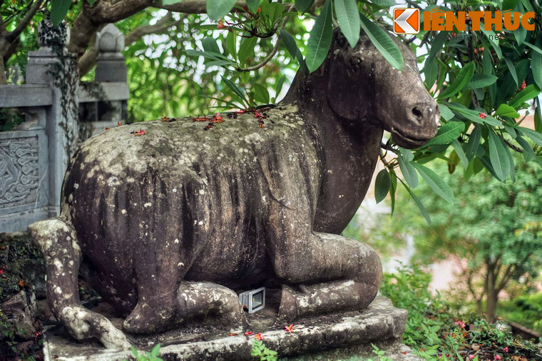 Ngựa là biểu tượng cho năng lượng và sự nỗ lực trong việc hành Phật pháp, là phương tiện di chuyển của tâm.