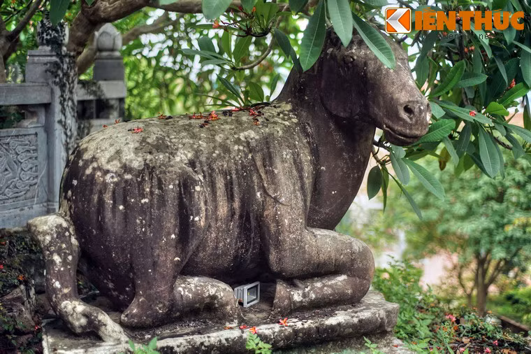 Ngựa là biểu tượng cho năng lượng và sự nỗ lực trong việc hành Phật pháp, là phương tiện di chuyển của tâm.