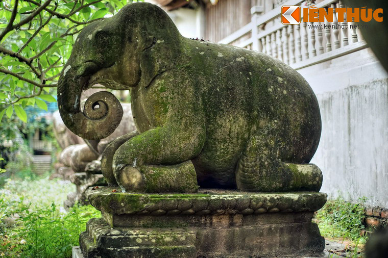 Voi được coi là biểu tượng của sức mạnh thể chất và tâm thức, cũng như trách nhiệm và tính chân thật.