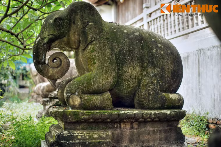 Voi được coi là biểu tượng của sức mạnh thể chất và tâm thức, cũng như trách nhiệm và tính chân thật.