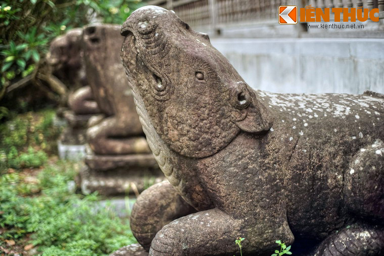 Tê giác là biểu tượng cho những người tu hành kiên trì cho đến ngày giải thoát.