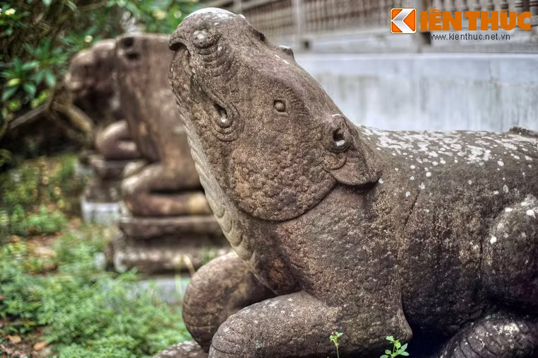 Tê giác là biểu tượng cho những người tu hành kiên trì cho đến ngày giải thoát.