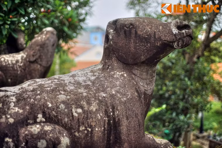 Trâu mang ý nghĩa của sự giải thoát tự nhiên, tự tại trong thế giới của Phật.