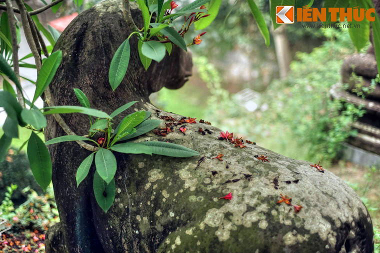 Với những giá trị to lớn về lịch sử, văn hóa và nghệ thuật, bộ tượng 10 linh thú của chùa Phật Tích đã được công nhận là Bảo vật quốc gia vào năm 2017.