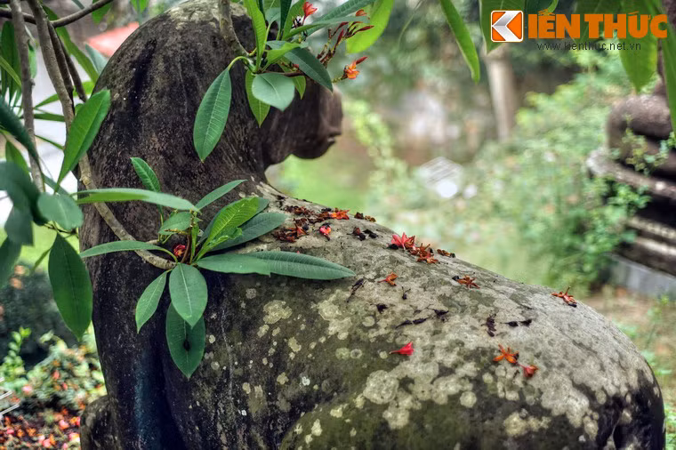 Với những giá trị to lớn về lịch sử, văn hóa và nghệ thuật, bộ tượng 10 linh thú của chùa Phật Tích đã được công nhận là Bảo vật quốc gia vào năm 2017.