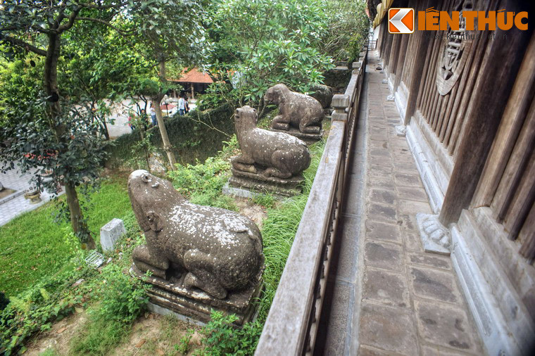 Do nền đất cũ thấp, hiện tại các tượng linh thú đã được tôn bằng bệ đá cao thêm khoảng 20cm, vị trí đặt không thay đổi.