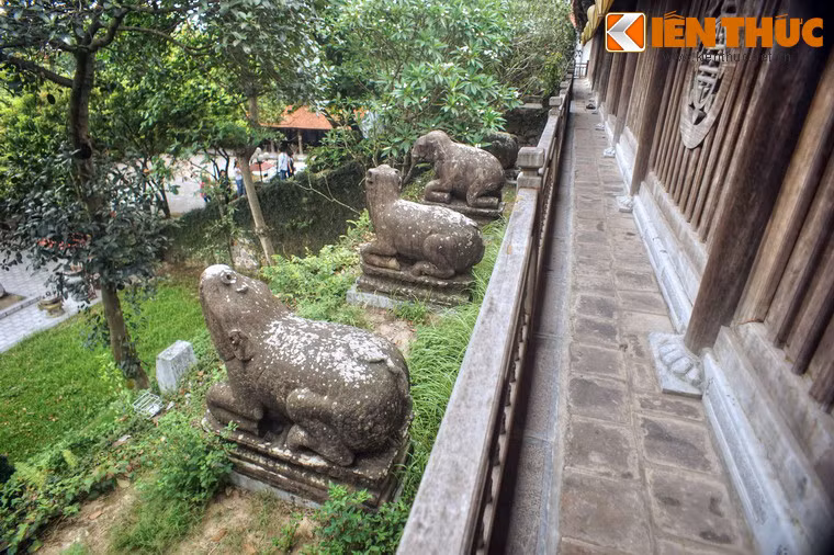 Do nền đất cũ thấp, hiện tại các tượng linh thú đã được tôn bằng bệ đá cao thêm khoảng 20cm, vị trí đặt không thay đổi.