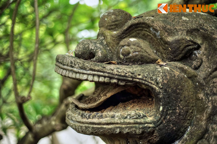 Đầu sư tử mang nét biểu cảm thú vị với miệng ngoác rộng như đang gầm, được chạm khắc chi tiết đến từng chiếc răng và có cả một chiếc lưỡi uốn cong.