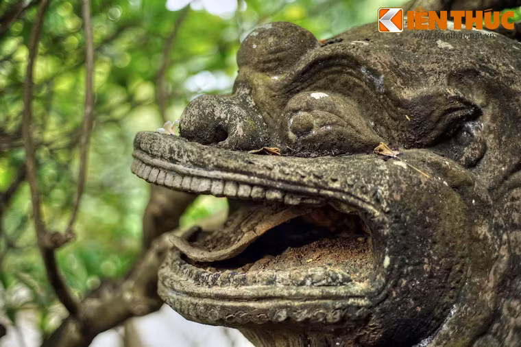 Đầu sư tử mang nét biểu cảm thú vị với miệng ngoác rộng như đang gầm, được chạm khắc chi tiết đến từng chiếc răng và có cả một chiếc lưỡi uốn cong.