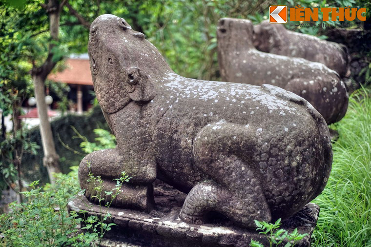 Mình của tê giác được chạm hình vẩy hình tròn, đều tăm tắp như vẩy cá.