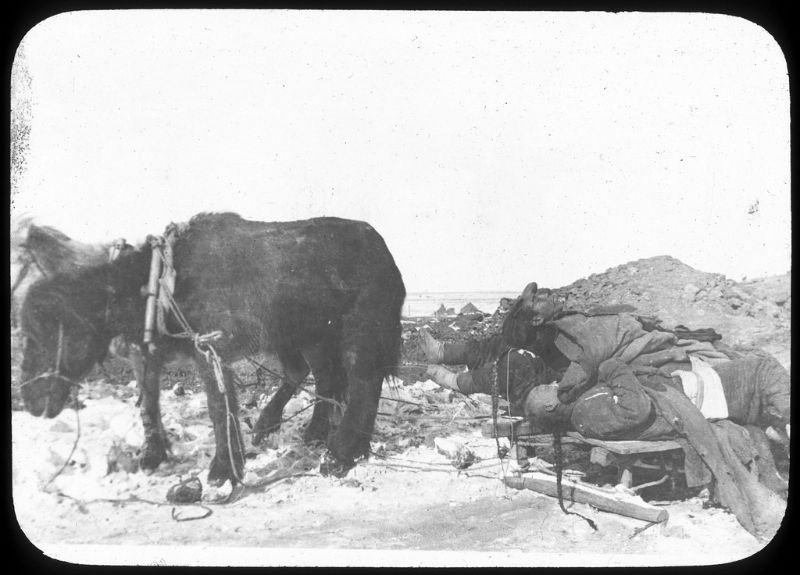 Thi thể được đưa từ xe ngựa xuống hố hỏa táng. Ảnh: Ralph Repo Flickr.