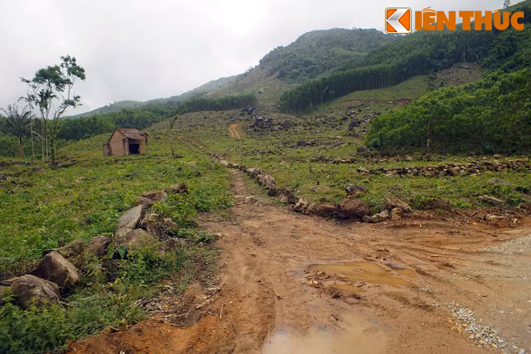 Nằm ở chân núi Nứa thuộc địa phận thôn Thiên Xuân, xã Hành Tín Đông, huyện Nghĩa Hành, tỉnh Quảng Ngãi, làng cổ Thiên Xuân là dấu tích một quần thể dân cư cổ mang nhiều nét độc đáo có một không hai của người Việt.