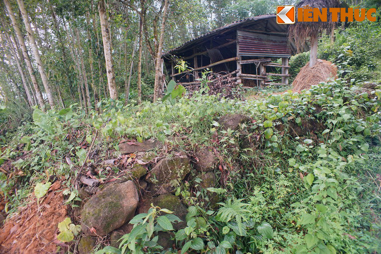 Theo lời kể được truyền lại ở địa phương, làng Thiên Xuân xưa có bốn dòng họ lớn là Nguyễn, Hồ, Lê, Đoàn, cùng bắt nguồn từ những cộng đồng đến đây khẩn hoang lập làng.