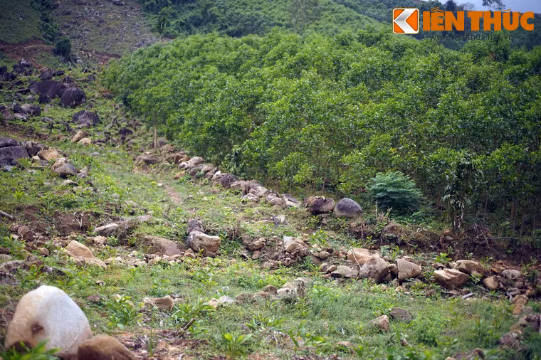 Bên trong lũy thành, các nhà khảo cổ đã tìm thấy dấu tích của các nền nhà, giếng nước, cùng nhiều loại đồ gốm và xương động vật.