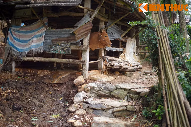 Cho đến nay, mặc dù không còn định cư trong ngôi làng cổ nhưng con cháu các tộc họ ở làng Thiên Xuân vẫn canh tác trên đất đai của tổ tiên để lại và giữ tập quán dựng nhà trên nền đá của cha ông.