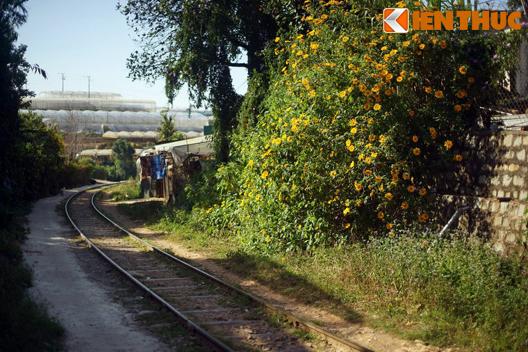 Trên tuyến đường sắt lịch sử này, du khách sẽ được ngắm nhìn những quang cảnh thơ mộng của Đà Lạt như rừng thông, ruộng vườn trải dài trên các triền đồi, thung lũng, những cung đường ngập tràn sắc hoa...