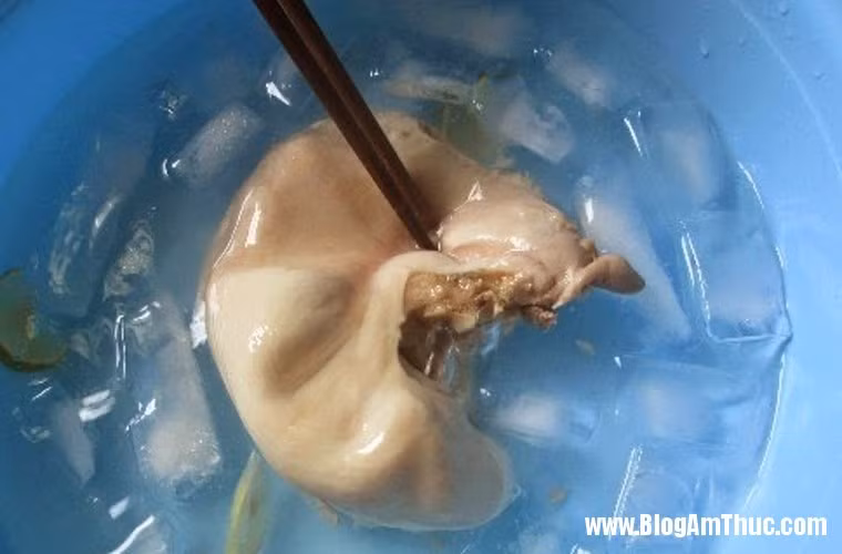 Dạ dày hôi vì quá trình rửa làm sạch dạ dày chưa đủ các thao tác hoặc không đúng cách. Dạ dày bị dai là do bạn luộc quá kỹ.