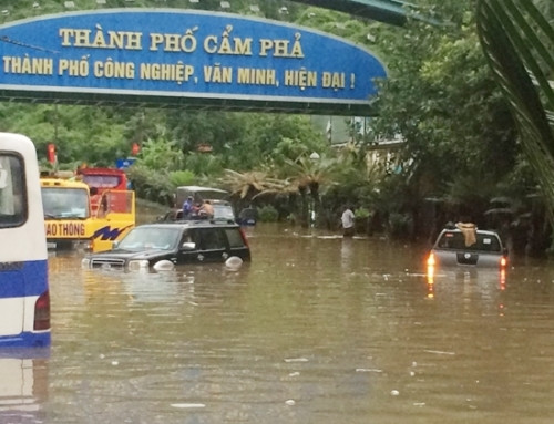 Chua dao Tuan Chau moi nguoi dan mua lu an o mien phi