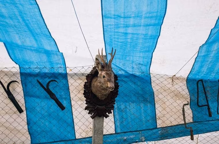 Một món hàng hóa độc đáo được bày bán ở chợ.