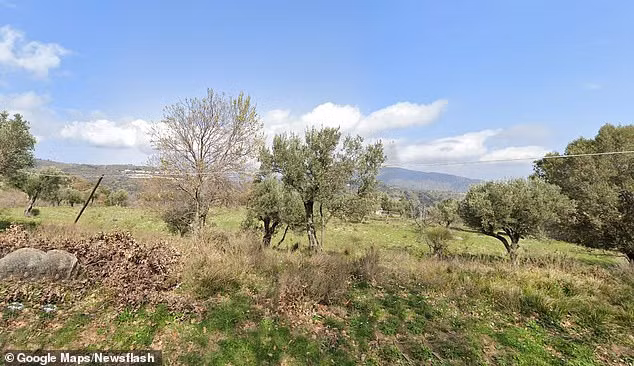 Di da ngoai trong rung, nu sinh bi bay cho hoang can tu vong-Hinh-2