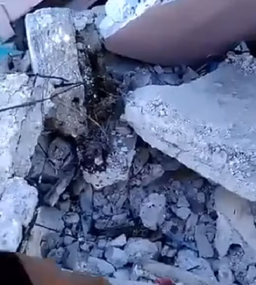 Tan hoang hien truong tran dong dat rung chuyen Haiti, nhieu nguoi chet-Hinh-5